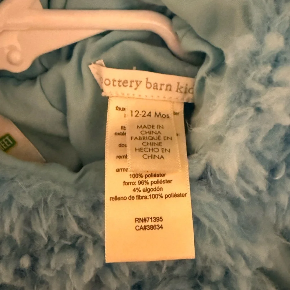 Pottery Barn Kids Cookie Monster with homemade trick or treat bag - Picture 2 of 3